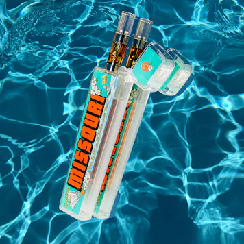 Photo of Timeless Missouri Flip Case Combo