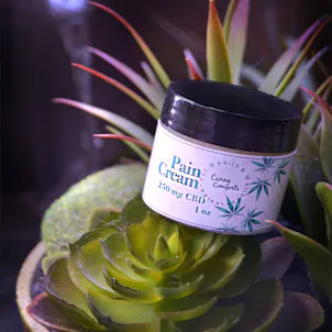 Photo of CBD Pain Cream- Terpene Infused 250 mg