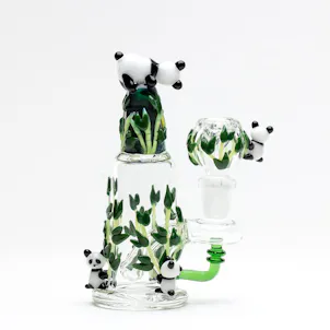 Photo of Climbing Pandas Mini Rig