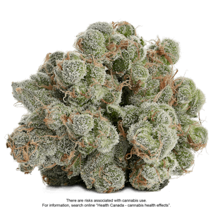 Photo of Afghan Kush