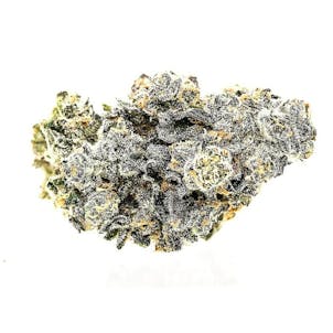 Photo of Apple Fritter