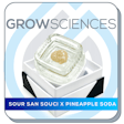 Product image for Sour San Souci x Pineapple Soda Live Hash Rosin Badder (1g)