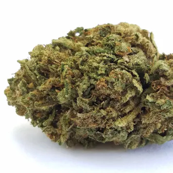 Photo of CBD Hemp Flower - Lifter 21.10% Cannabinoids 7g