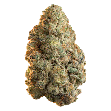 Photo of Watermelon OG