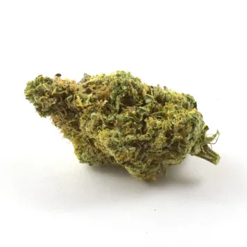Photo of Fortune Cookies Flower