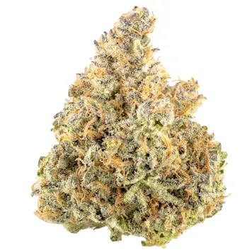 Photo of Mill City Kush