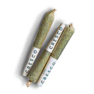 Photo of Katsu Bubba Kush Indica Shorties 3.5g 7-pack