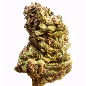 Photo of Jack Herer (fem) seeds