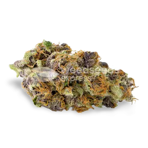 Photo of Purple Kush Autoflower Seeds