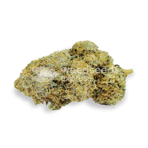 Photo of Acapulco Gold Autoflower Seeds