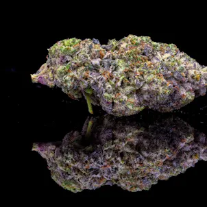 Photo of Whoa Si Whoa