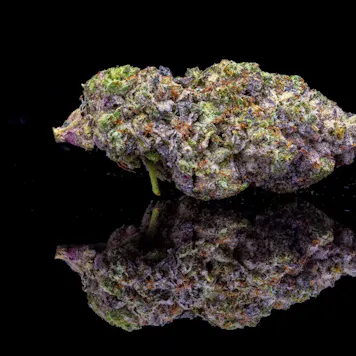 Photo of Whoa Si Whoa