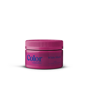 Photo of White Shark