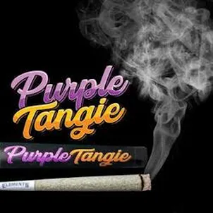 Photo of PT - Black Truffle - Pre-Roll 1g - 31.16% THC