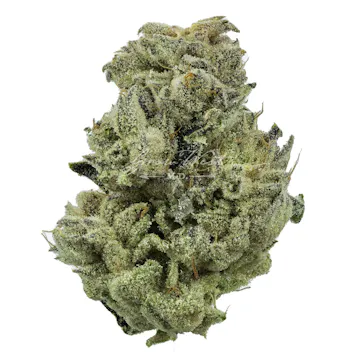 Photo of Purple Koala Trimmed | Gold