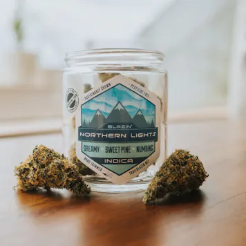 Photo of Northern Lights