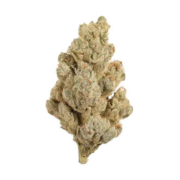 Photo of Headbanger 1g