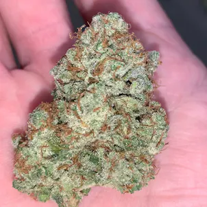 Photo of Blue Dream