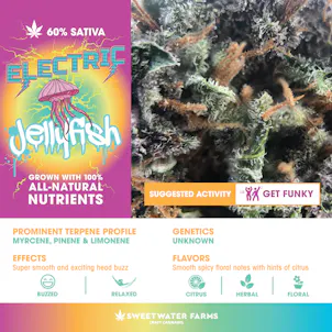 Photo of Electric Jellyfish