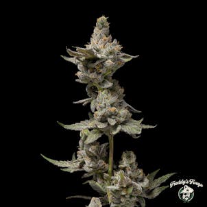 Photo of Layer Cake #14