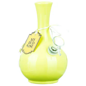 Photo of My Bud Vase "Phoebe" Water Pipe