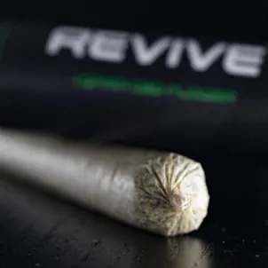 Photo of Hemp Pre-Rolls 1 gram