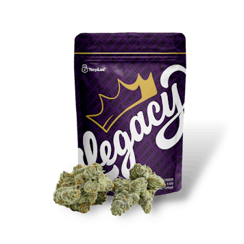 Photo of Orange Velvet Underground RBX Premium Flower