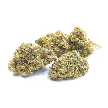 Photo of Hawaiian Haze