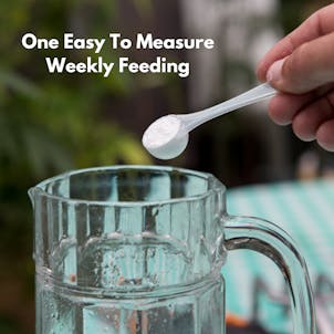 Photo of Bloom - Marijuana Bloom Fertilizer