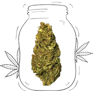 Photo of Hawaiian Haze CBD
