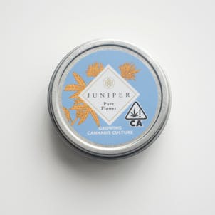 Photo of Mimosa 3.5 gram flower