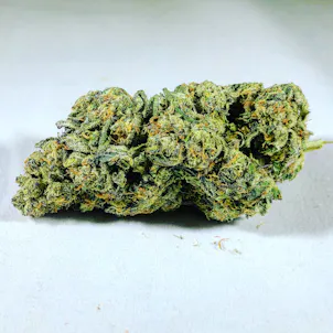 Photo of Platinum GSC