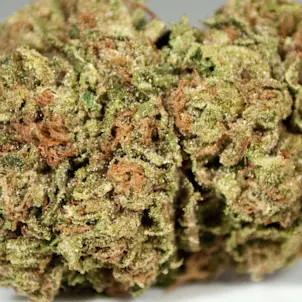 Photo of Shark Shock CBD