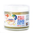 Product image for 1000MG | CBD Healing Super Salve - Zero THC