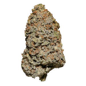 Photo of HEXO Plus - Tsunami+