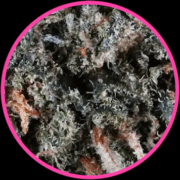 Photo of Pink Panties 3.5g Dried Cannabis