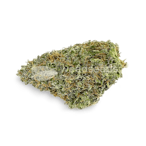 Photo of Northern Light X Big Bud Autoflower Seeds