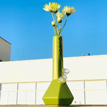 Photo of 10" aLeaf® Ceramic Vase Water Pipe