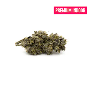 Photo of Northern Lights THCa Flower - Hemp-Flower.com