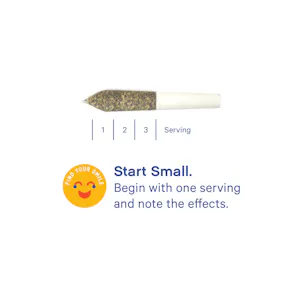 Photo of Happy Camper Infused Mini Preroll 3-packs