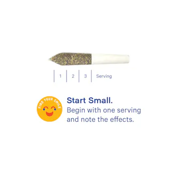 Photo of Happy Camper Infused Mini Preroll 3-packs