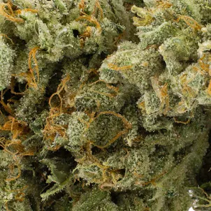 Photo of Star Struck, 3.5g