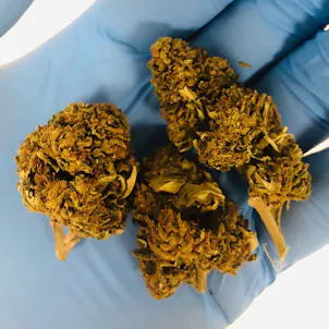 Photo of Coca Dream CBD Hemp Flower