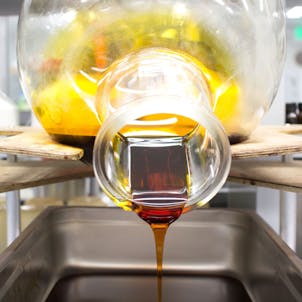 Photo of CO2 Extraction - Winterized, Distillate and Ultra Refined Distillate Oils