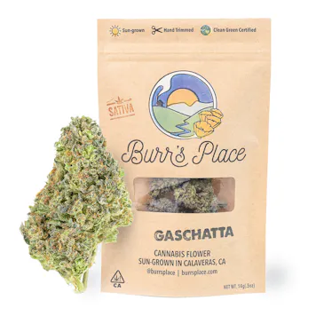 Photo of Gaschatta - 14g Bag