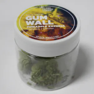 Photo of Gum Wall | Flash Frozen Cured