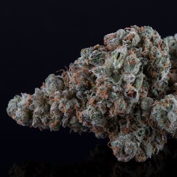 Photo of Bell-Ringer