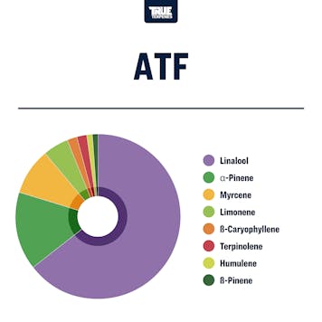 Photo of ATF Profile Strain