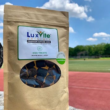 Photo of CBD Dog Treats