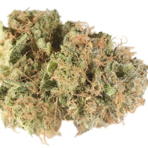 Photo of Northern Lights